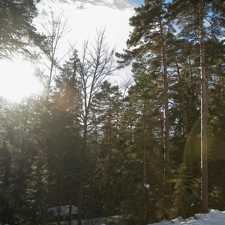 еделвайс 3*