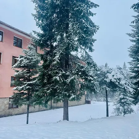 еделвайс 3*