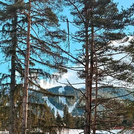 Edelweiss Hotel