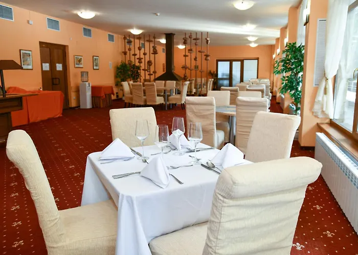 Hotel Edelweiss Borowec