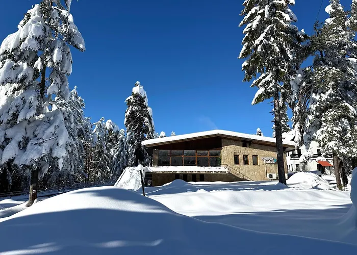 Hotel Edelweiss Borowec