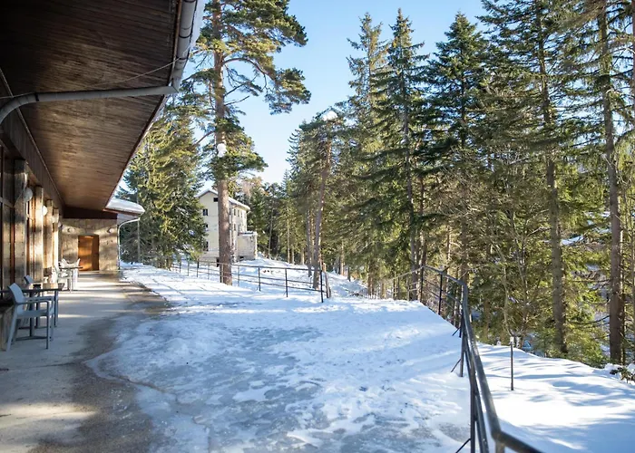 Hotel Edelweiss Borowec