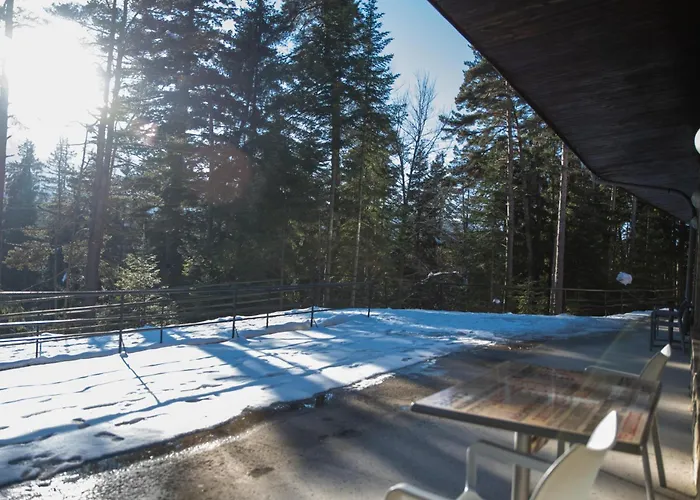 Edelweiss Hotel Borowec