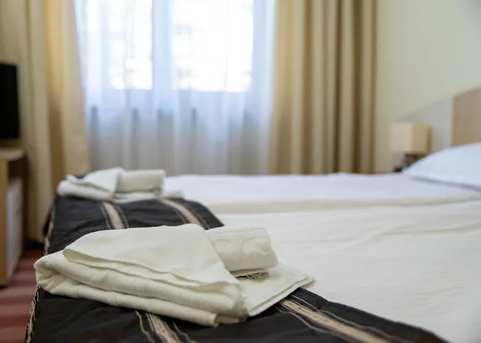 Edelweiss 3* Borowec